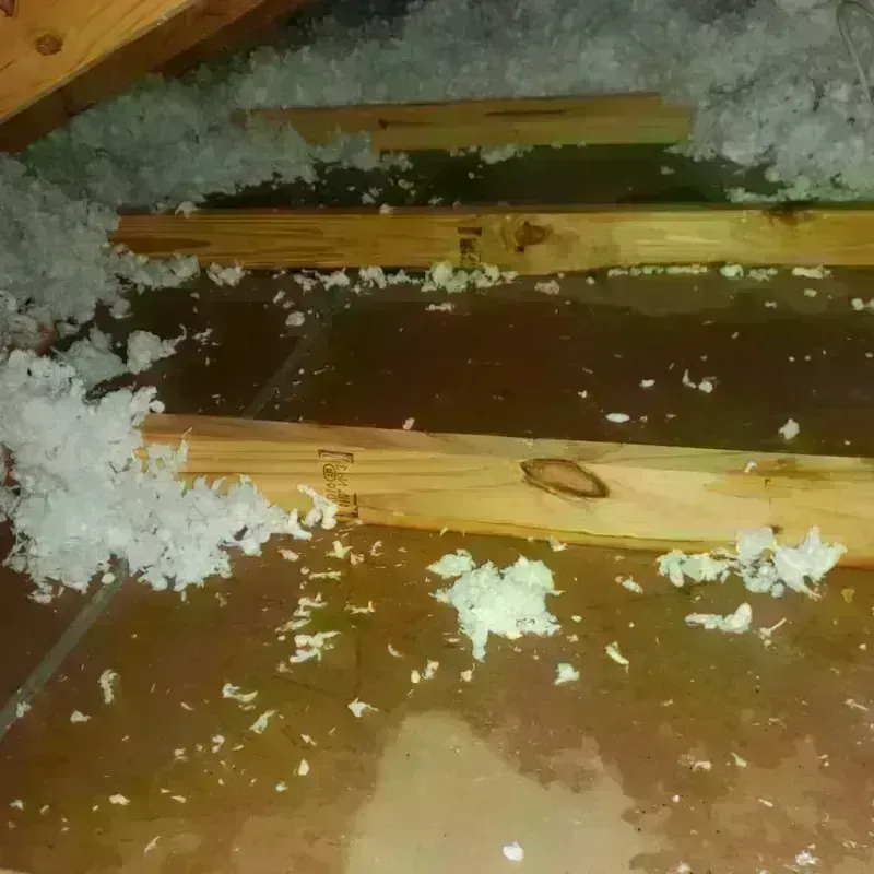 Attic Water Damage in Chadbourn, NC